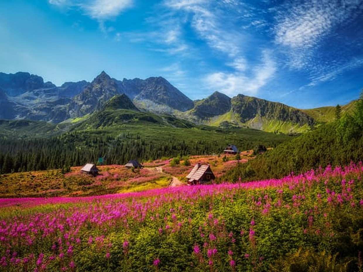 Explore Zakopane – the capital of the Tatra Mountains - PRIVATE (4h), photo 5
