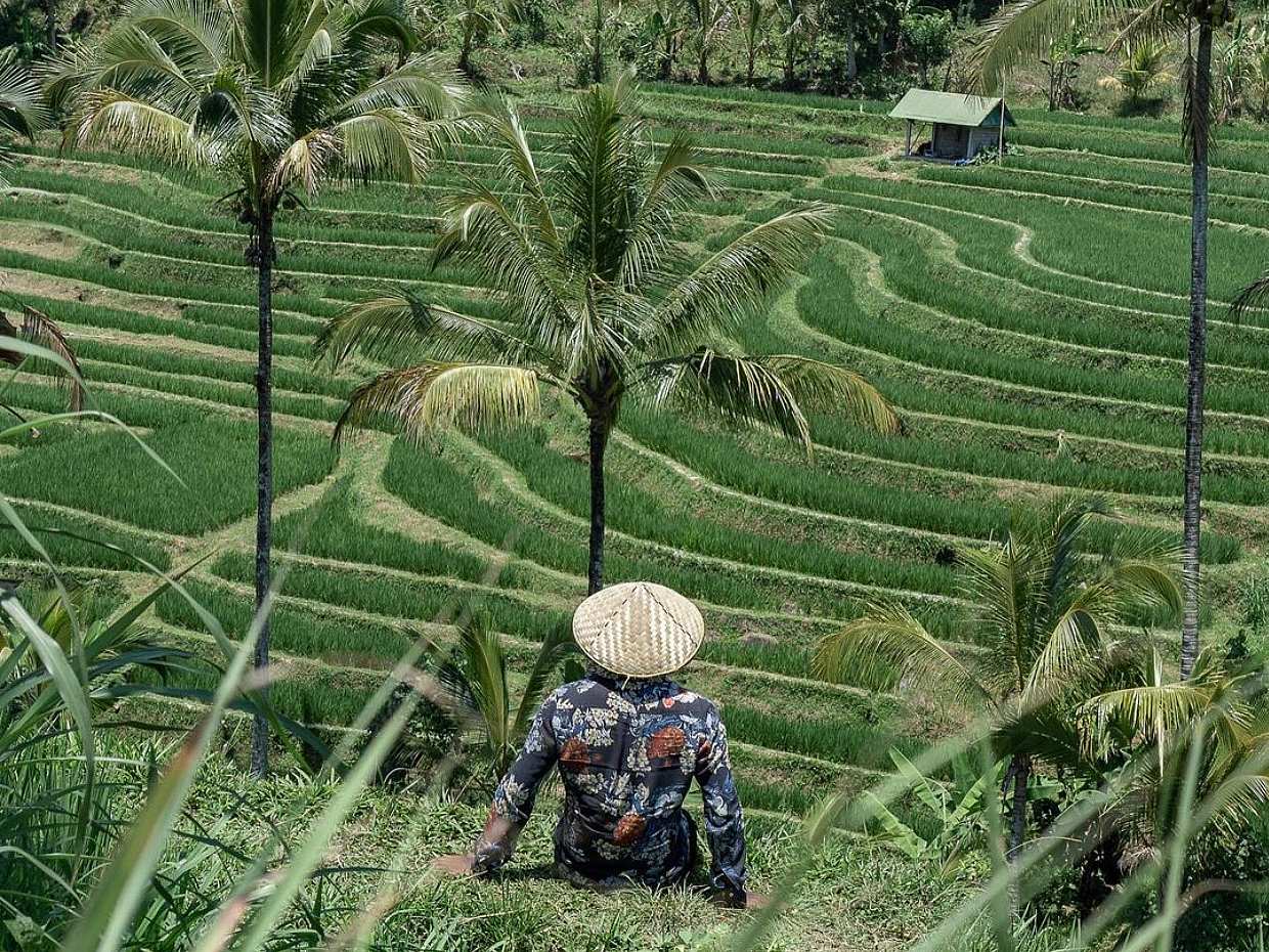 UNESCO World Heritage Tour of Bali in Indonesia, photo 4