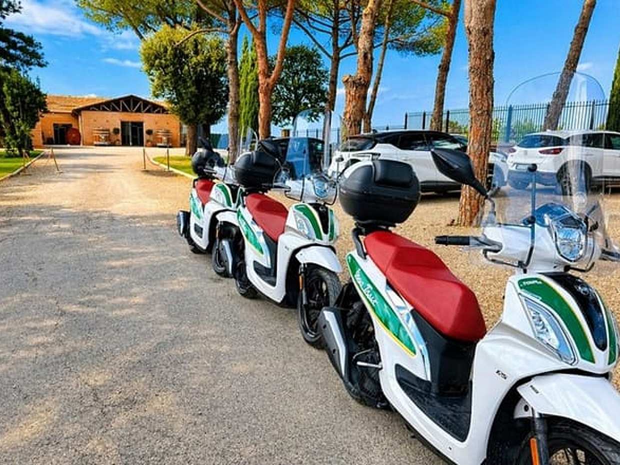 Chianti: Passeio Panorâmico com Degustação de Vinhos e Almoço Toscano na Itália, Siena, photo 3