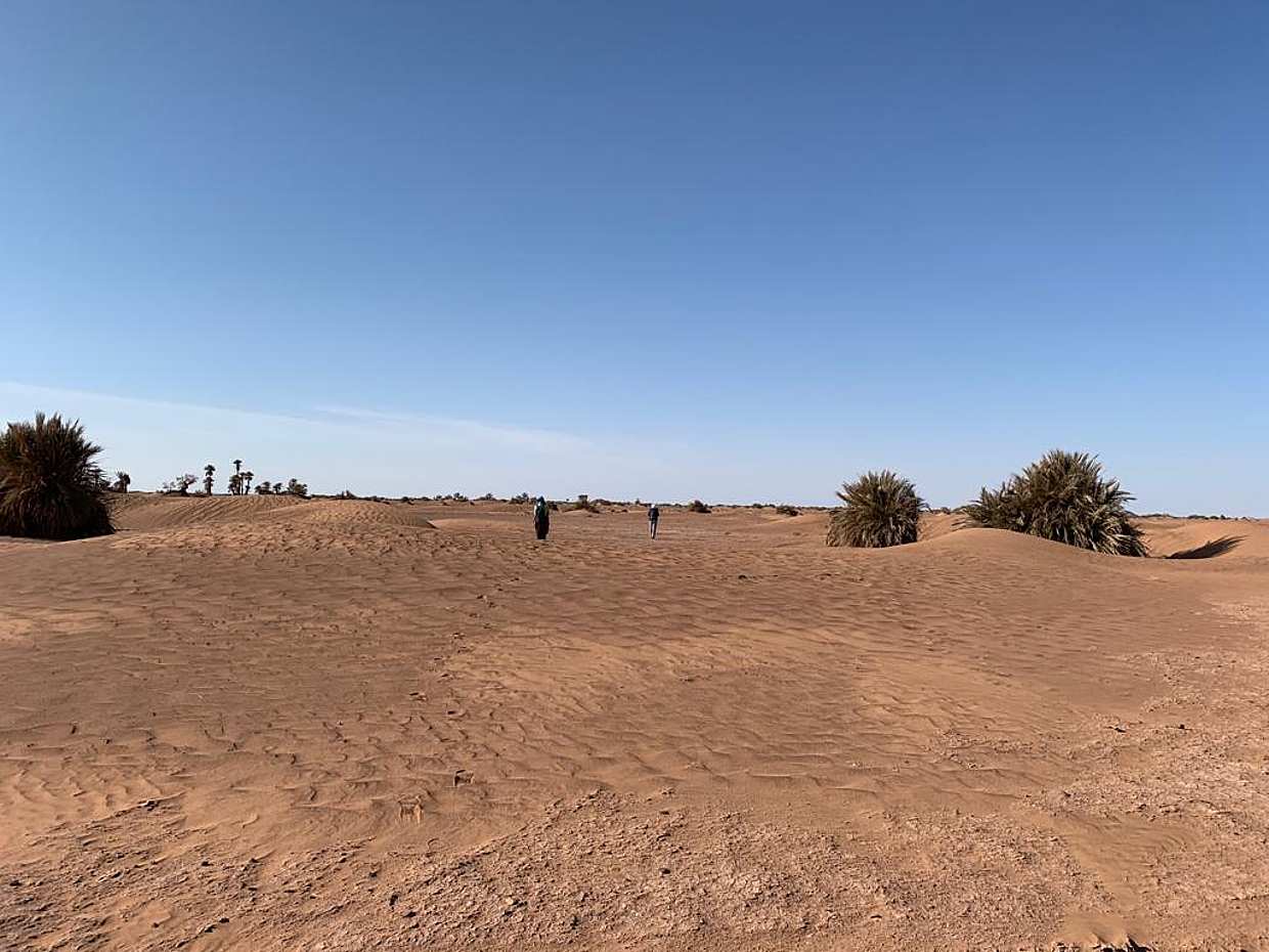 4-day Treking Tour in Morocco Desert, M'Hamid El Ghizlane, photo 4