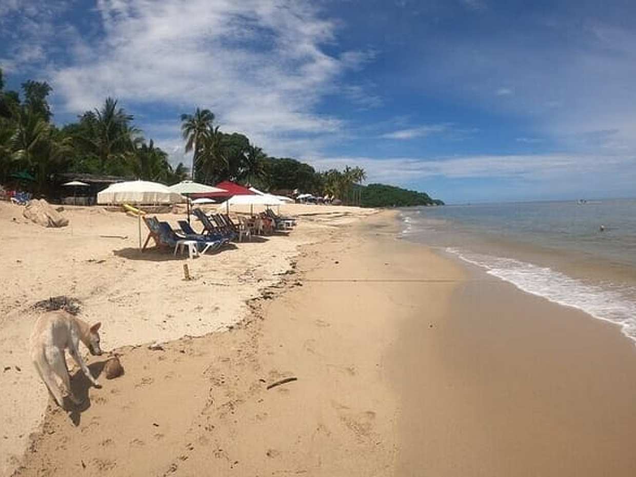 Rey Spearo - Enchanting And Romantic Custom Created Tours, Mexico, photo 5