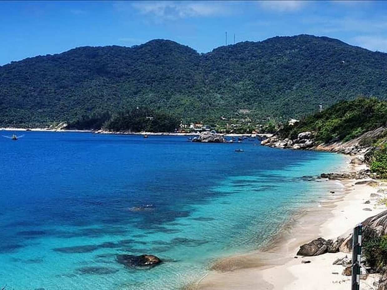 Şnorkelle Dalış Turu Vietnam, Hoi An'daki Cham Adası'nda sertifikalı dalgıçlar veya yeni başlayanlar için.