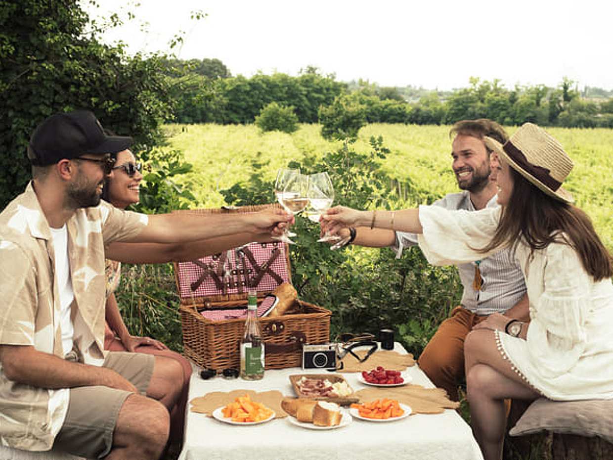 Pic Nic with Wine Tasting in the Vineyards