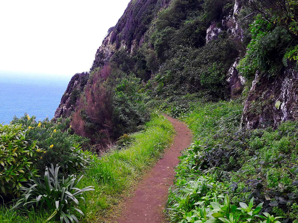 Larano Full-day Walking Tour in Portugal, Funchal, photo 4