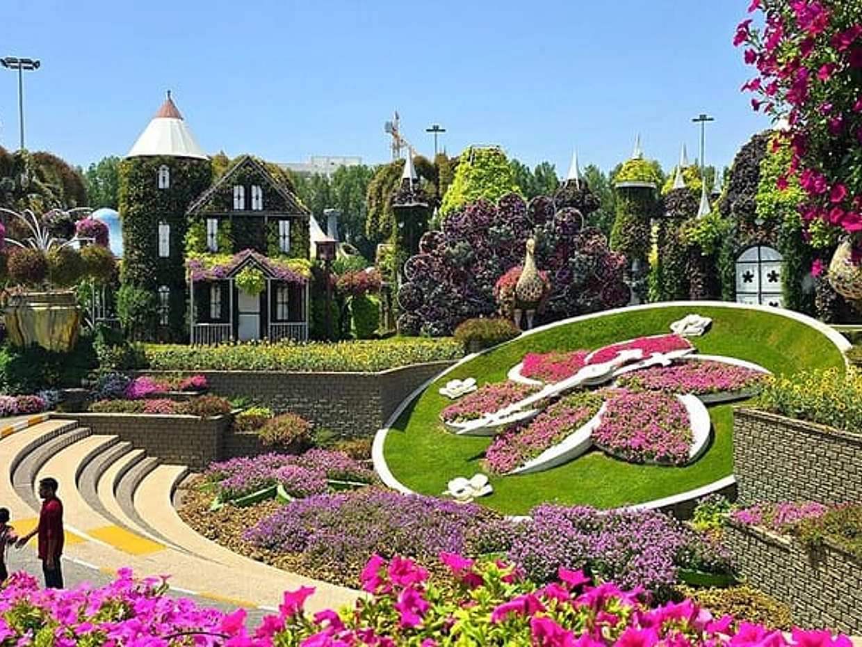 Dubai Combo: Dubai Frame with Miracle Garden Tickets, photo 2