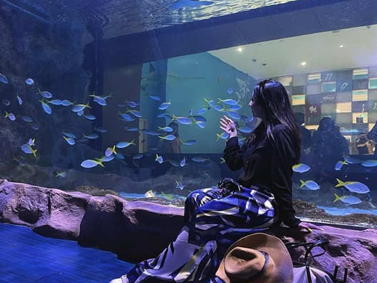 Dubai Aquarium & Underwater Zoo in United Arab Emirates, photo 5