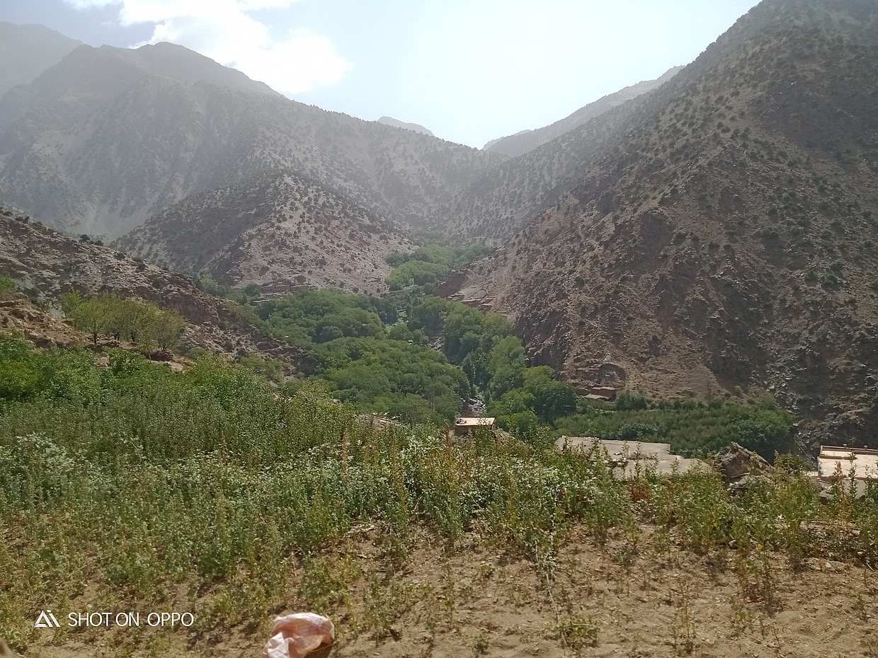 Half-day in the Atlas Mountains in Morocco, photo 2