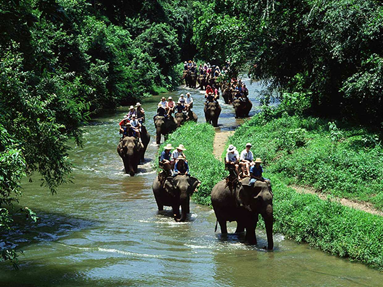 Phuket: 5 km Wildwasser-Rafting, Zipline und Elefantenreiten in Thailand
, photo 3