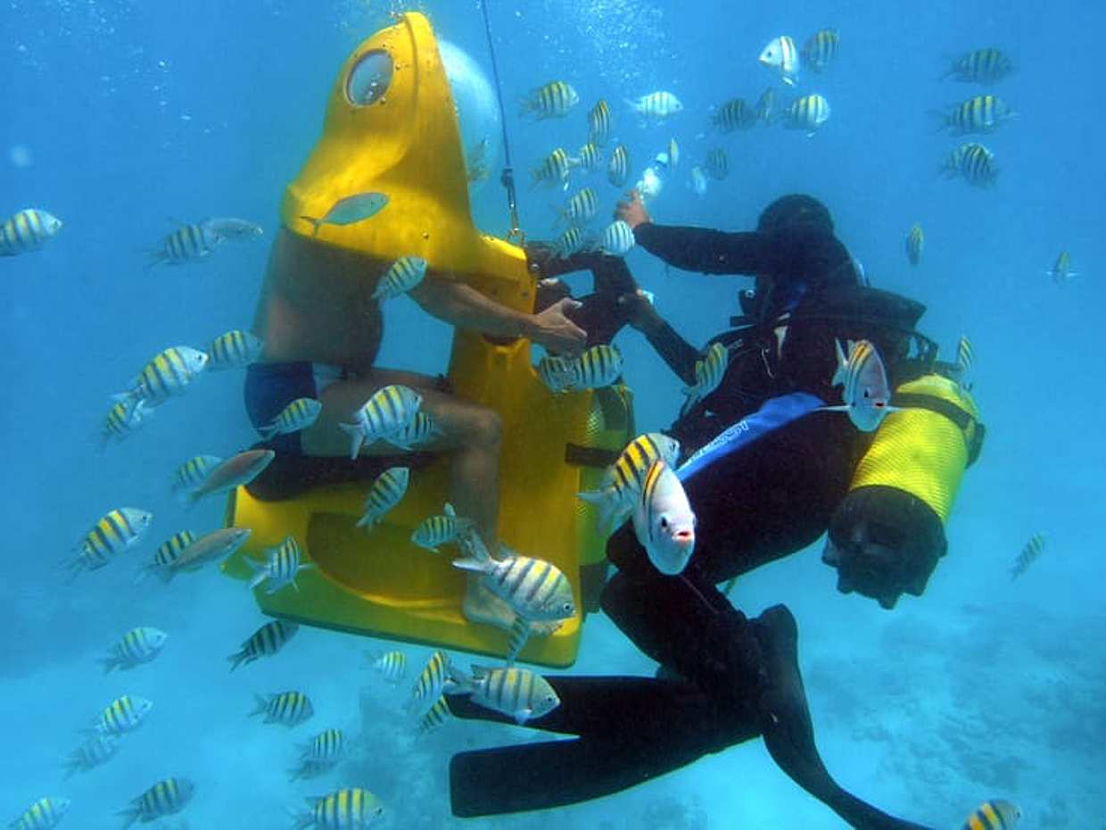 Scuba Doo in Punta Cana in Dominican Republic, photo 5