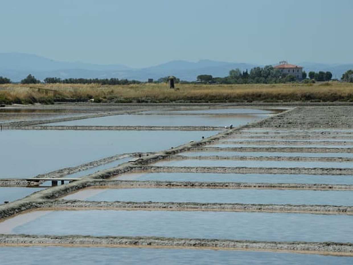 Cervia: unveiling the ancient Salt Pans, photo 2