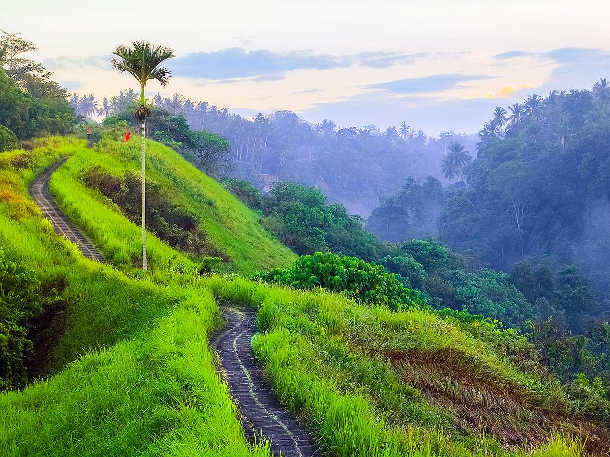 Das Beste von Ubud - Private Besichtigungstour, photo 2