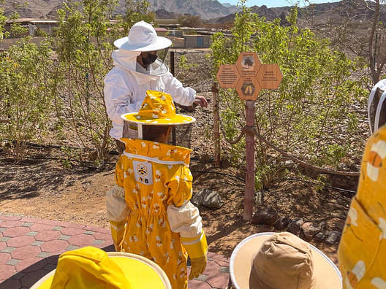 Ranní pouštní safari s návštěvou Honey Bee Garden ve Spojených arabských emirátech, Dubaji., photo 5