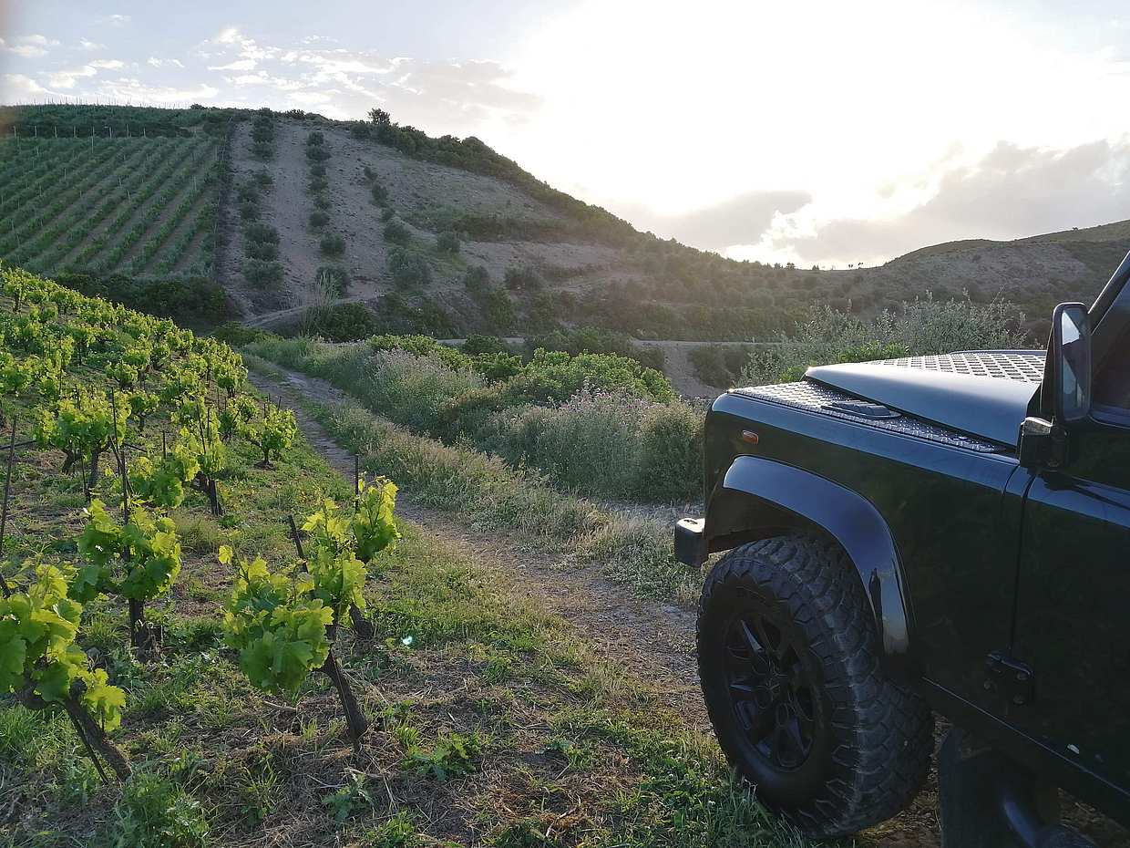Chania Premium Sunset Safari Tour in Greece, photo 3