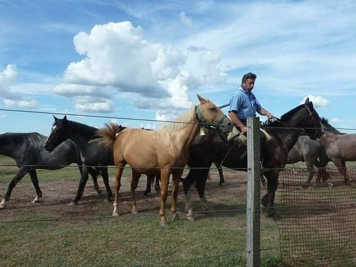 Gaucho Party in Estancia - งานเลี้ยงเกาโชที่เอสตานเซีย - บาร์บีคิวเกาโชสไตล์ฟาร์มในอาร์เจนตินา, บัวโนสไอเรส