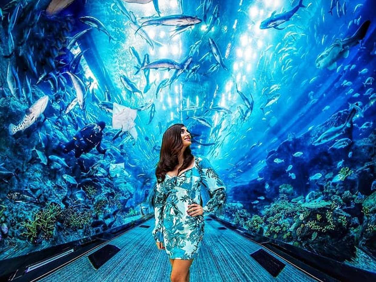Dubai Aquarium & Underwater Zoo in United Arab Emirates