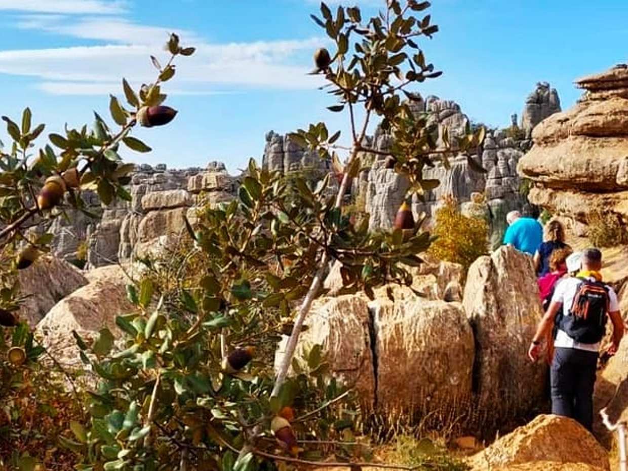Antequera and El Torcal private trip from Costa del Sol