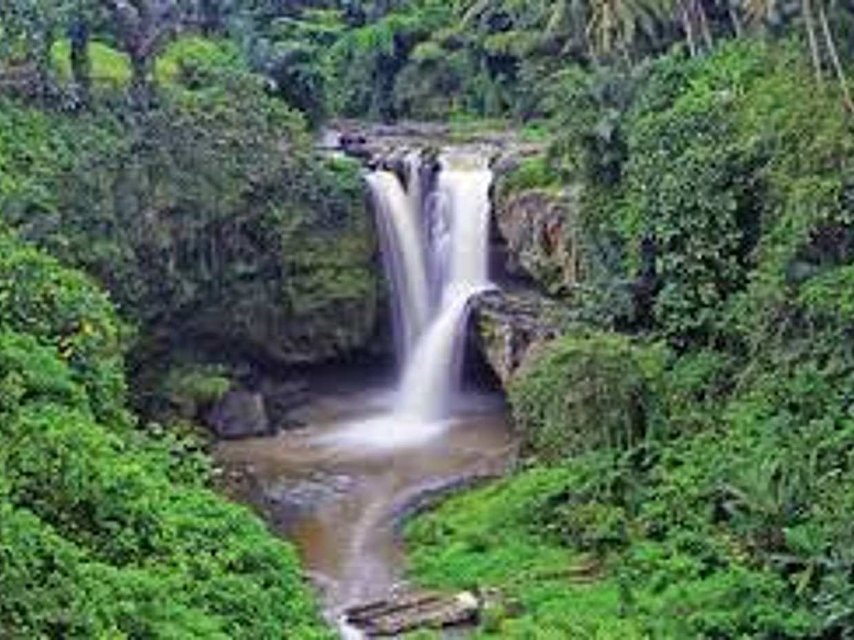 East Bali Snorkeling, Blue Lagoon and Waterfall Full-day Walking Tour, photo 2