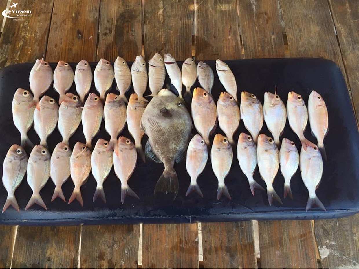 A Culinary Adventure in Djerba: From the Fish Market to Your Plate in Tunisia, Djerba Midun, photo 2