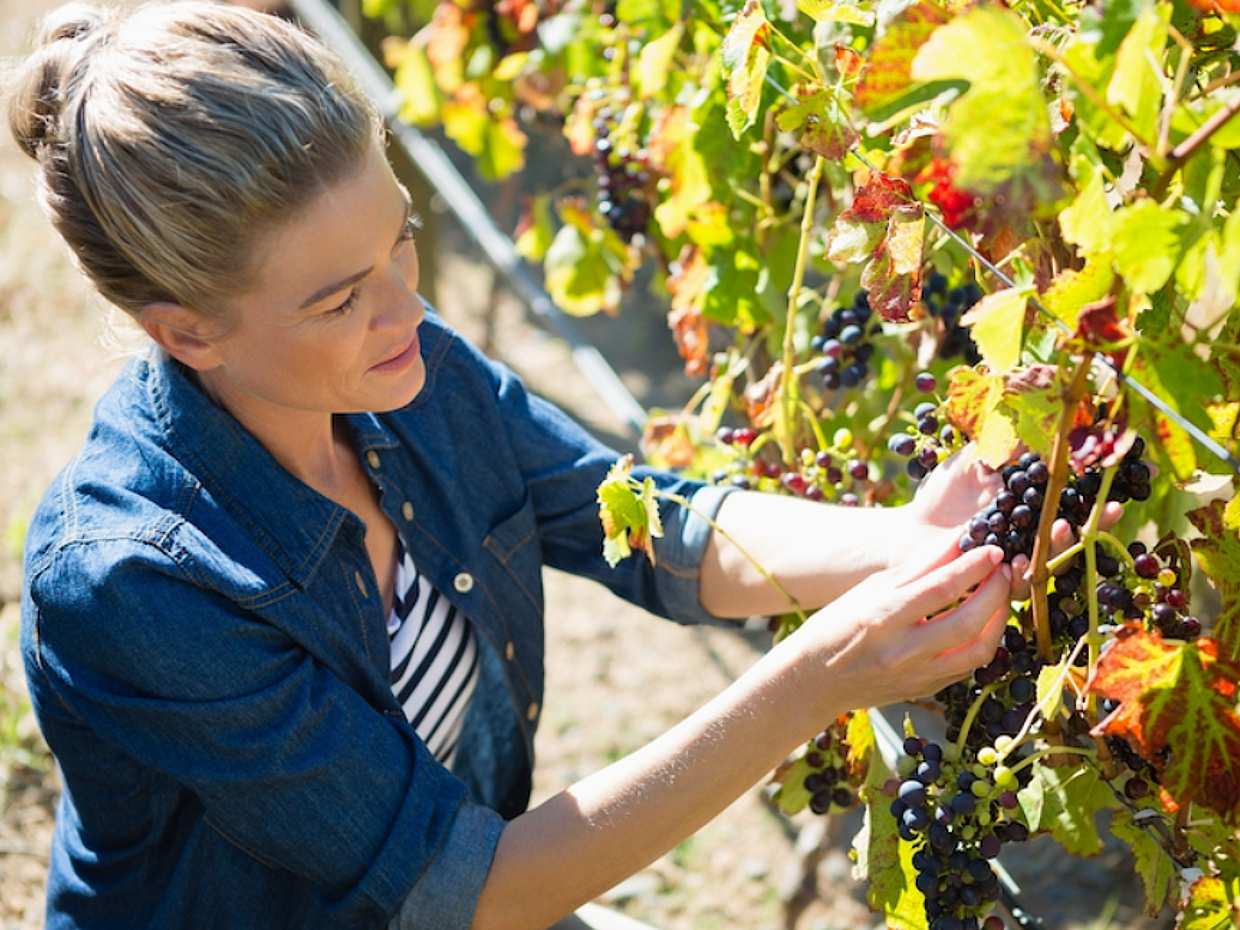 Troodos Mountain Villages and Wineries Tour with Tasting from Larnaca