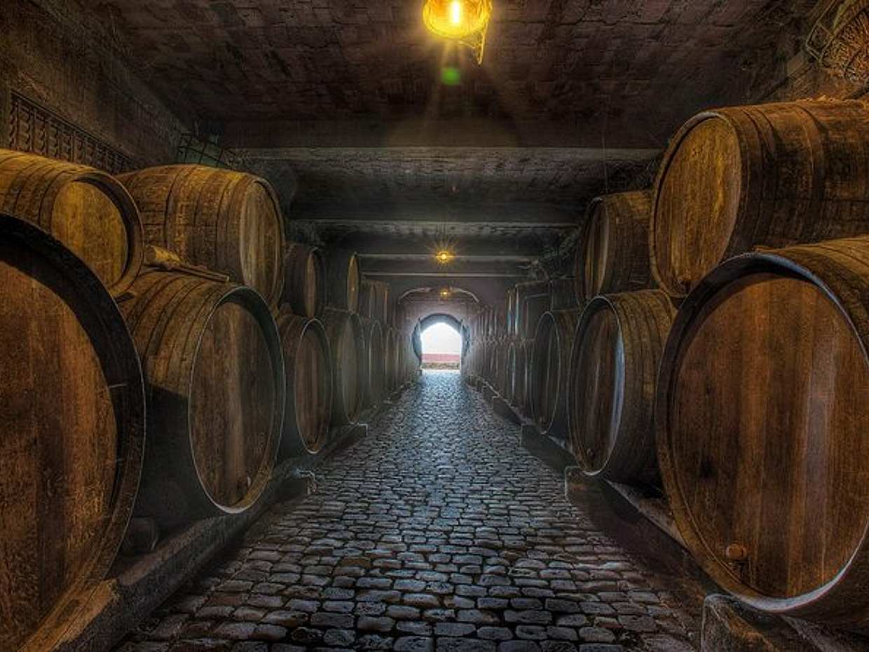 Tenerife Gastronomy Tour with Two Winery Visits and Lunch in Canary Islands, Spain, photo 4