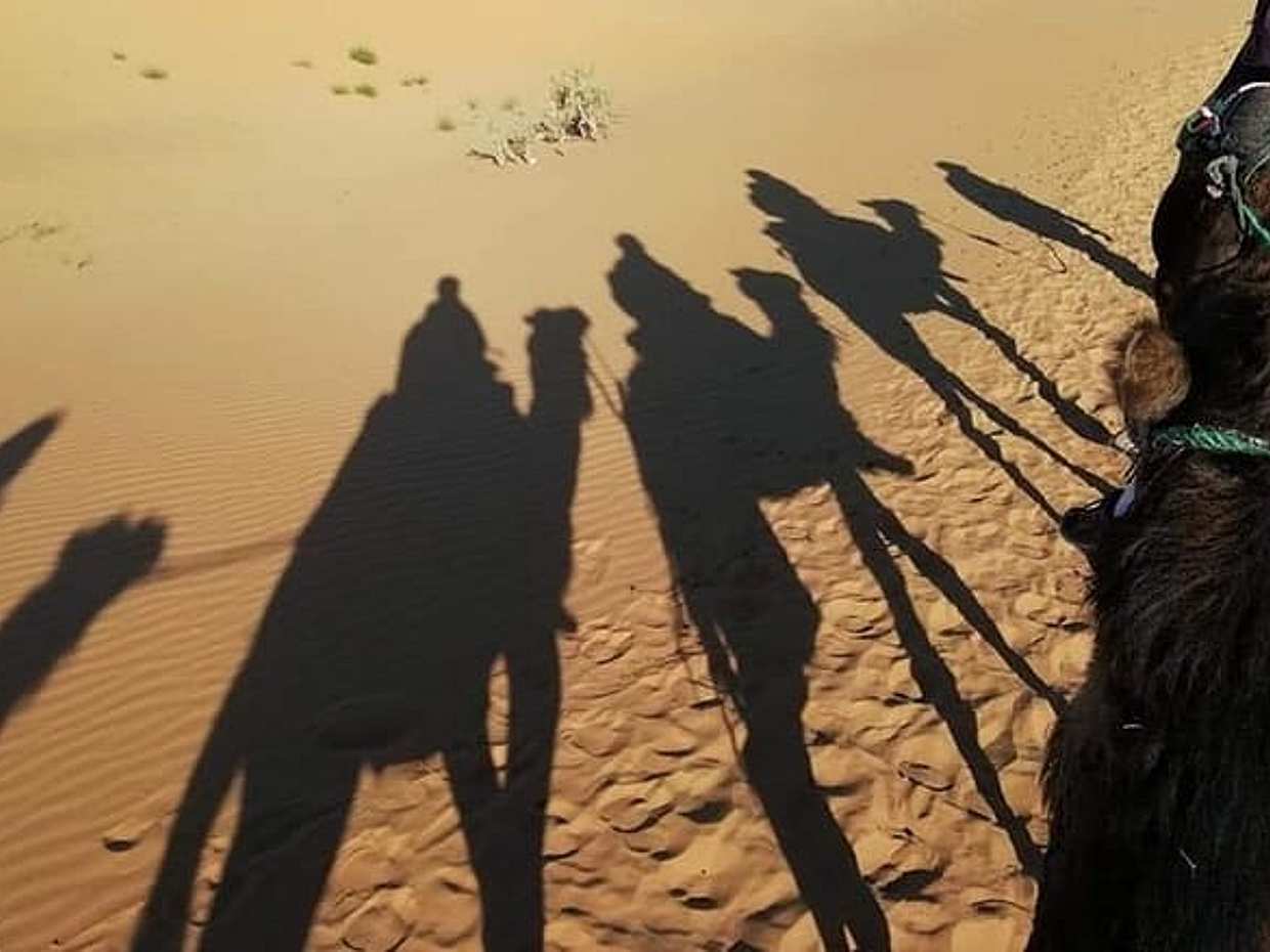3 Tage Fes nach Marrakesch über Sahara in Marokko, Fes, photo 4