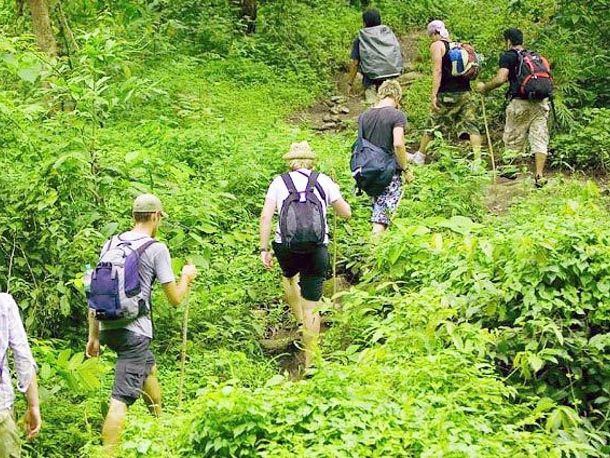 Trekking dans la jungle de Bali