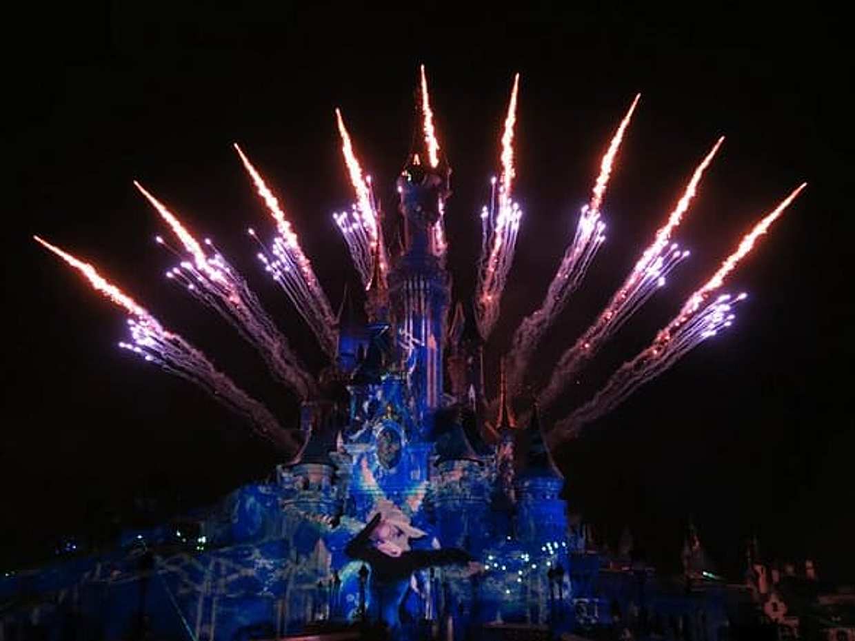 Private Disneyland Trip with Valle Village and Indian Dinner, photo 3