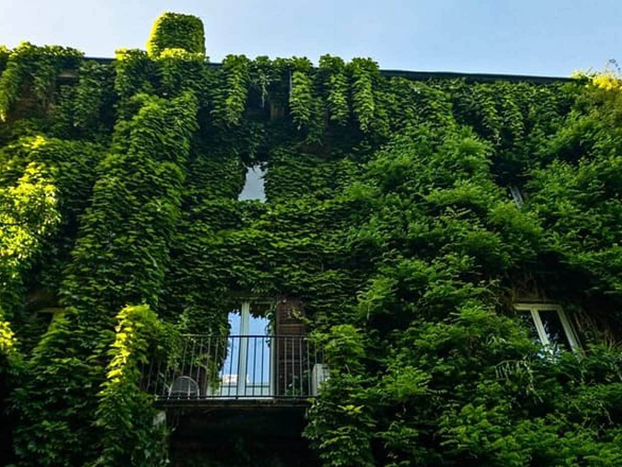 Ladrón de Arte en Brera: Búsqueda Autoguiada con Puzles en Milán, Italia, photo 3