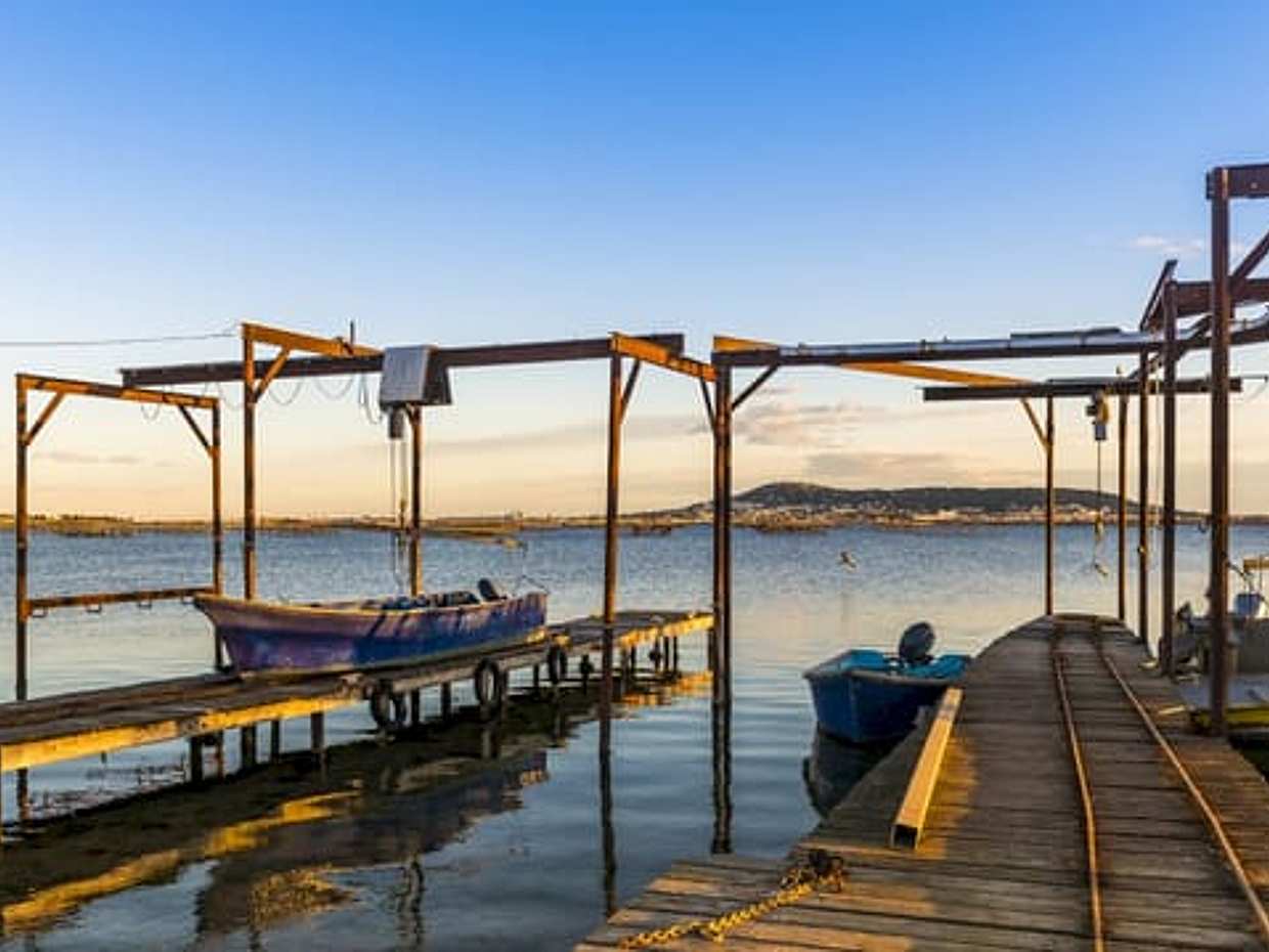 Sète Private Shore Excursion: Oyster Tasting and Languedoc Wine Experience