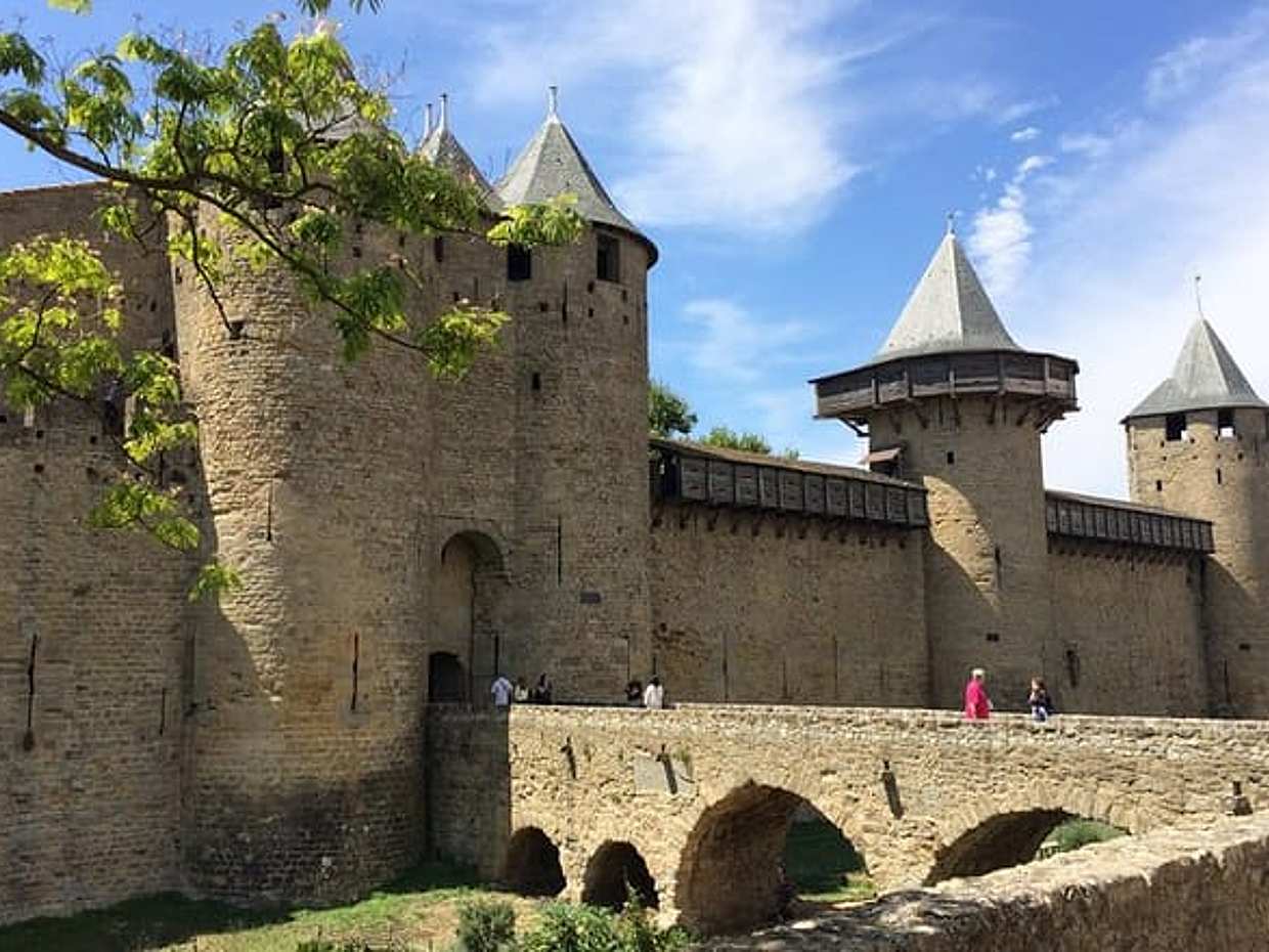 Day tour : Cité de Carcassonne and wine tasting. private tour from Carcassonne., photo 2