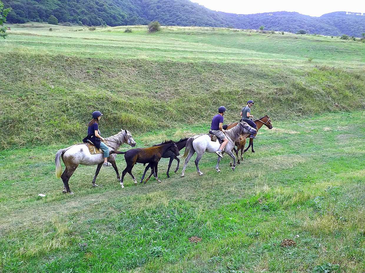 Circuit d'équitation panoramique en Arménie, province de Lori, photo 2