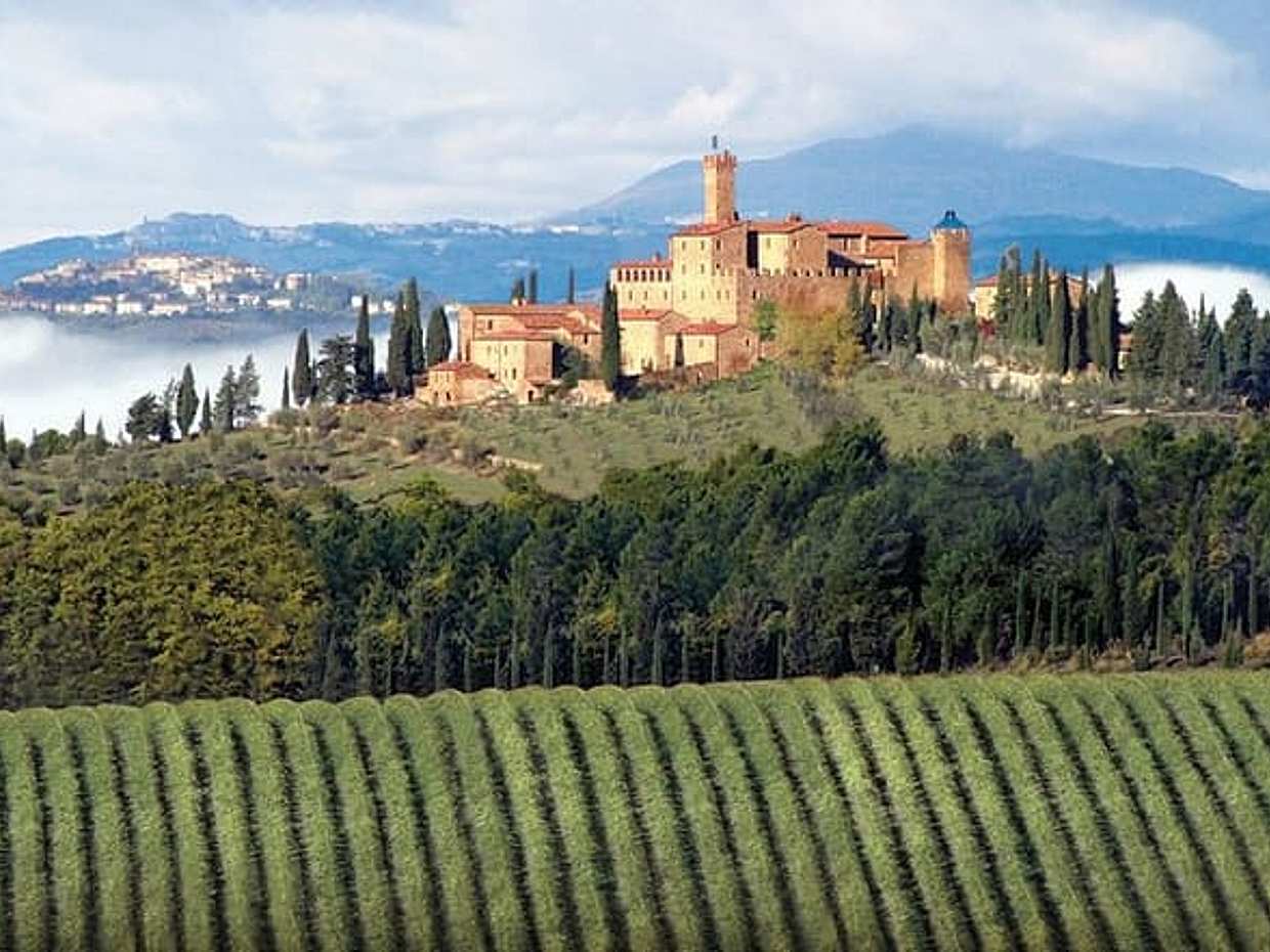 PRIVATE Full-Day Brunello Wine experience from Florence, photo 4