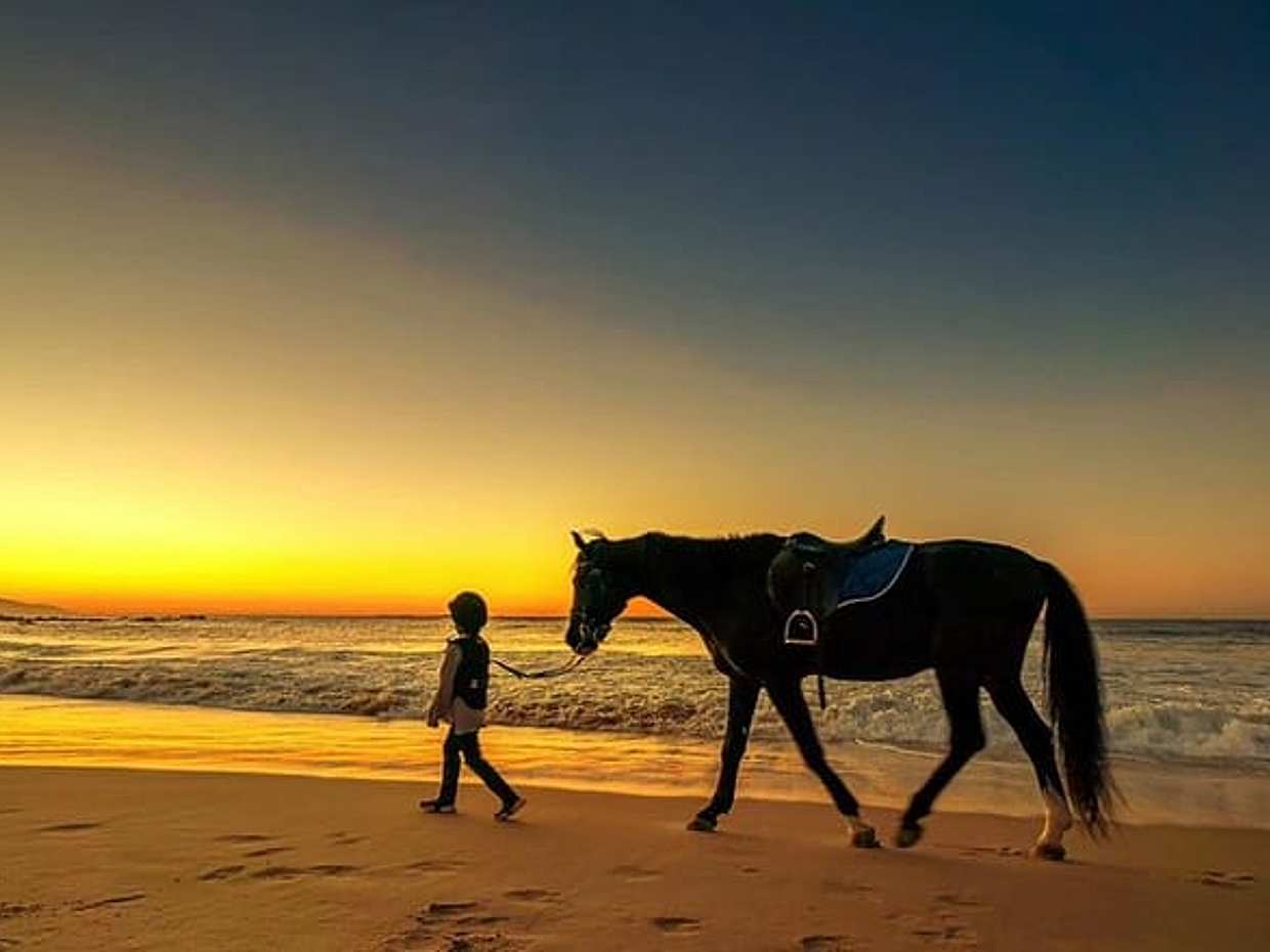 Tangier Mountain and Sea Horseback Riding Adventure in Morocco, photo 5
