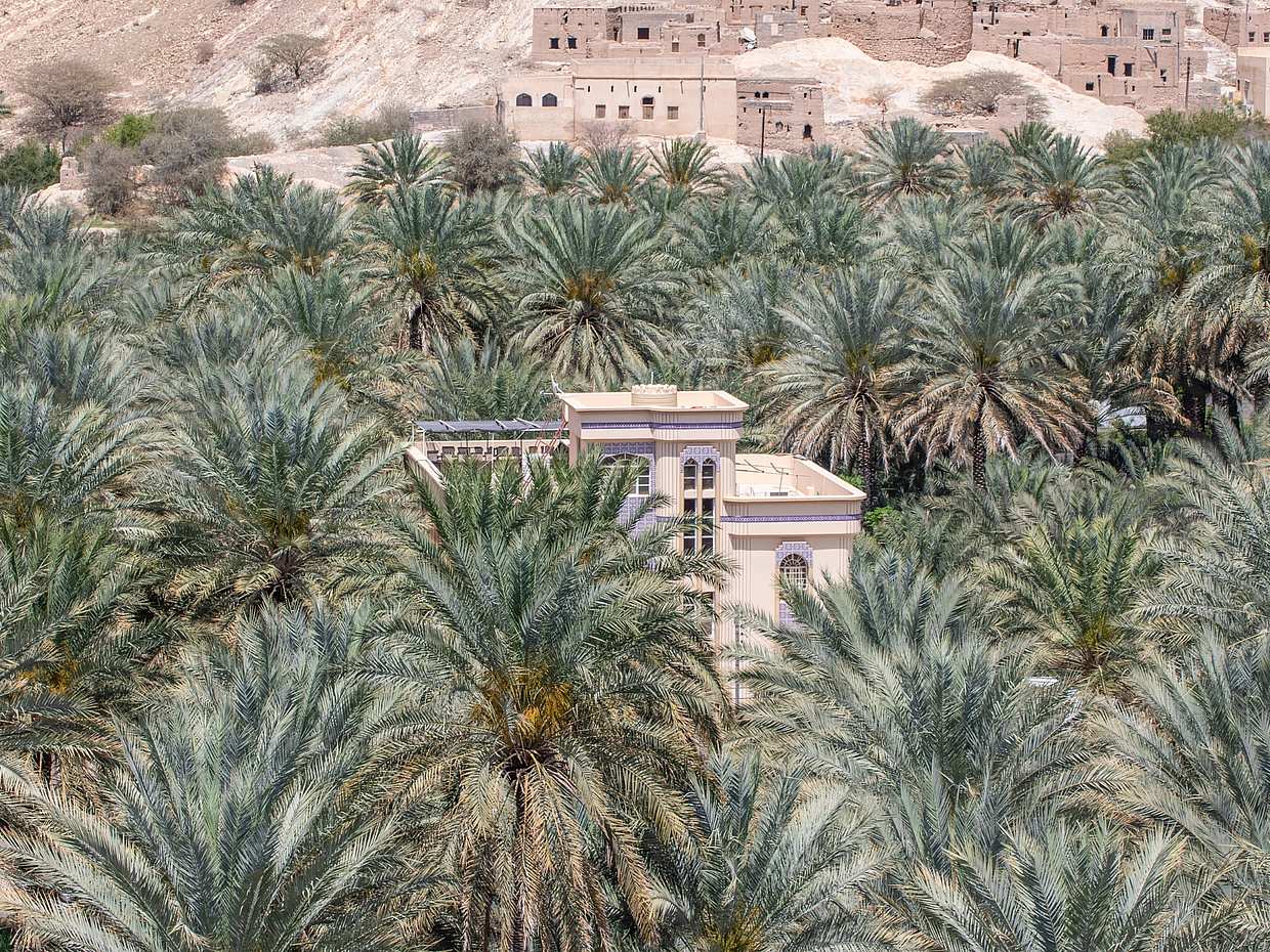 Fortified Wonders: Nizwa, Jabrin & Bahla Expedition in Oman, Muscat, photo 5