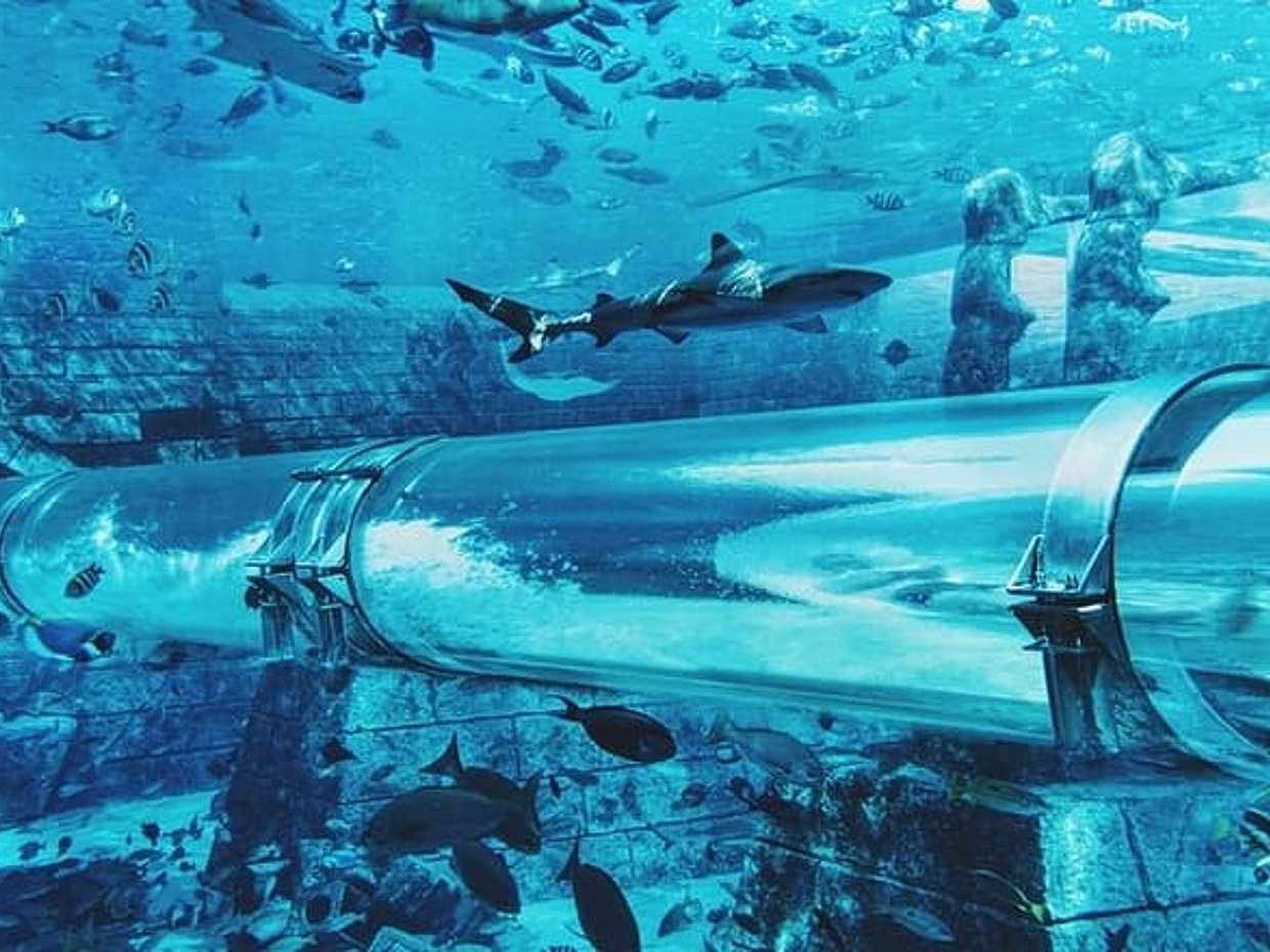 Atlantis water park & Lost Chamber with Ticket & Transfer, photo 4