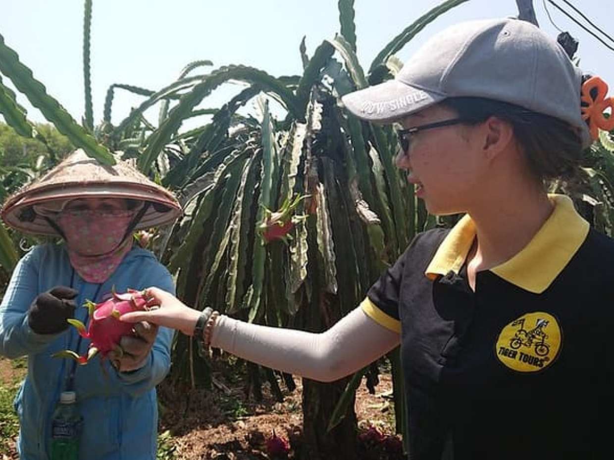 Ho Coc Beach - Nature Reserve and Dragon-fruit Farm trip with home-cooked lunch, photo 4