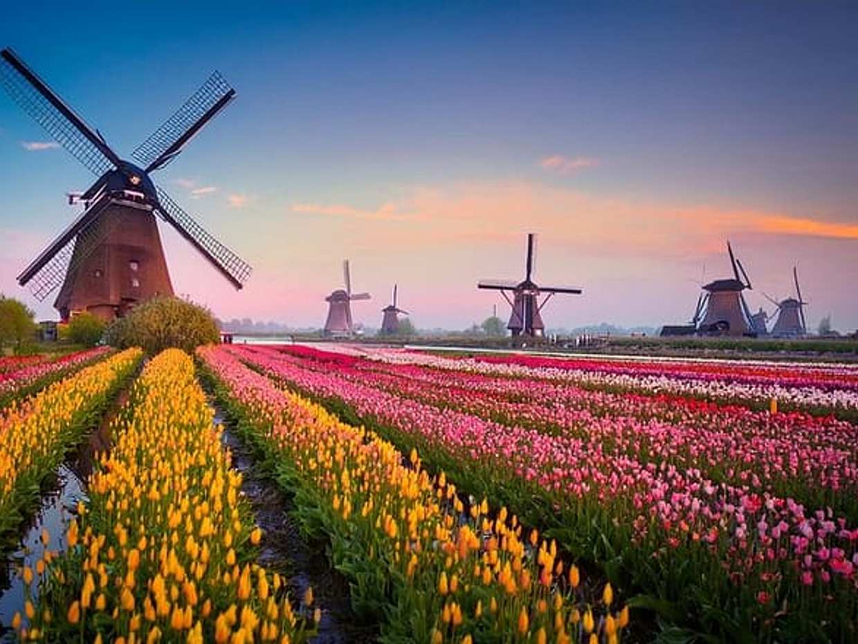 Privétransfer: Amsterdam naar Kinderdijk, 2 uur durende sightseeingstop in Nederland, photo 3