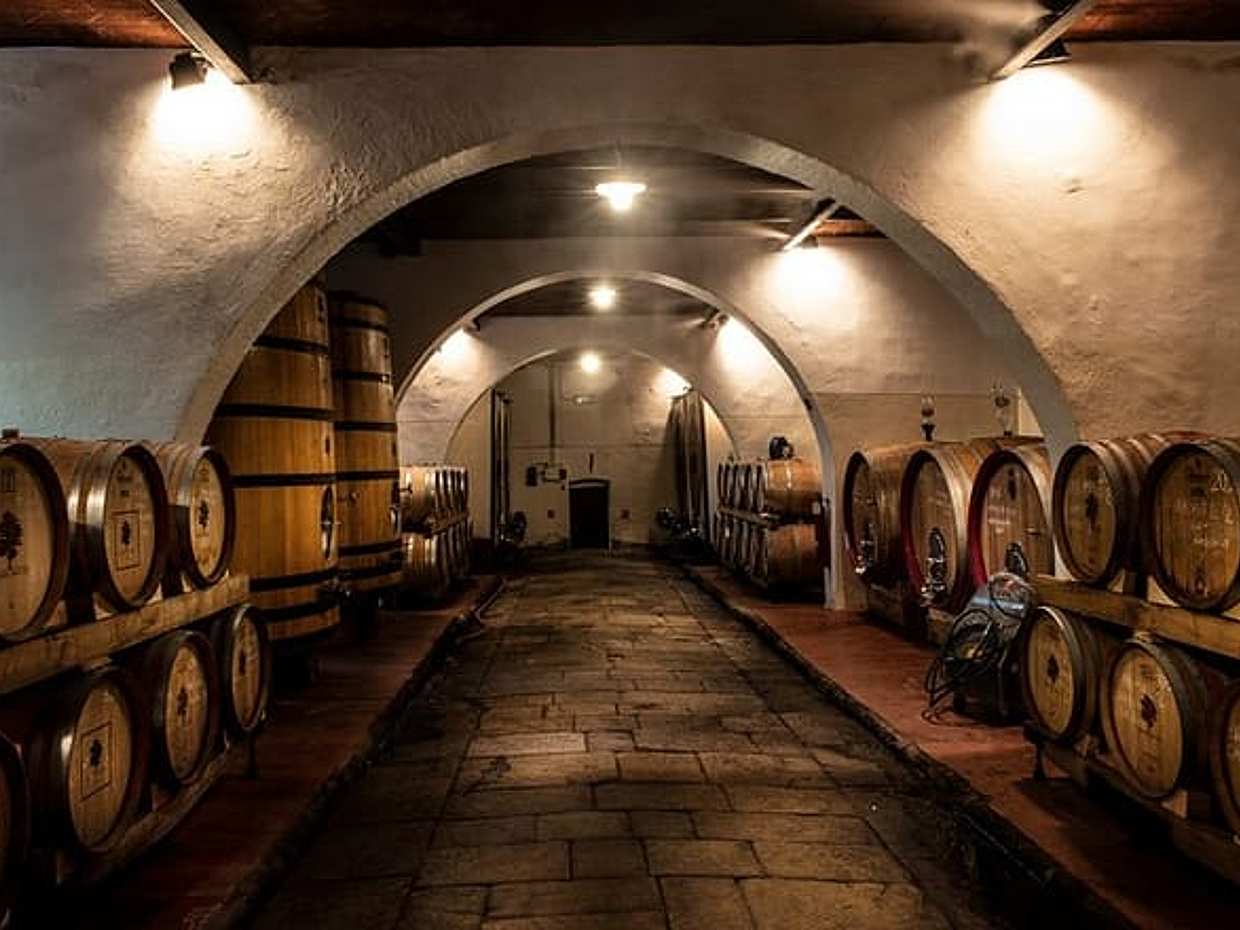 Exclusive Chianti Rufina Half Day Tour with Lunch from Florence, photo 4