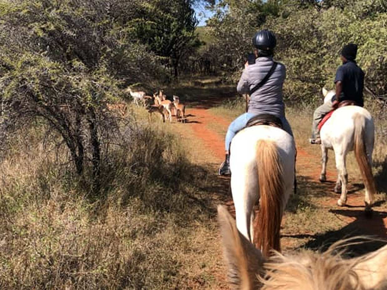 Paardensafari en kabelbaanrit vanuit Johannesburg, Zuid-Afrika, photo 3