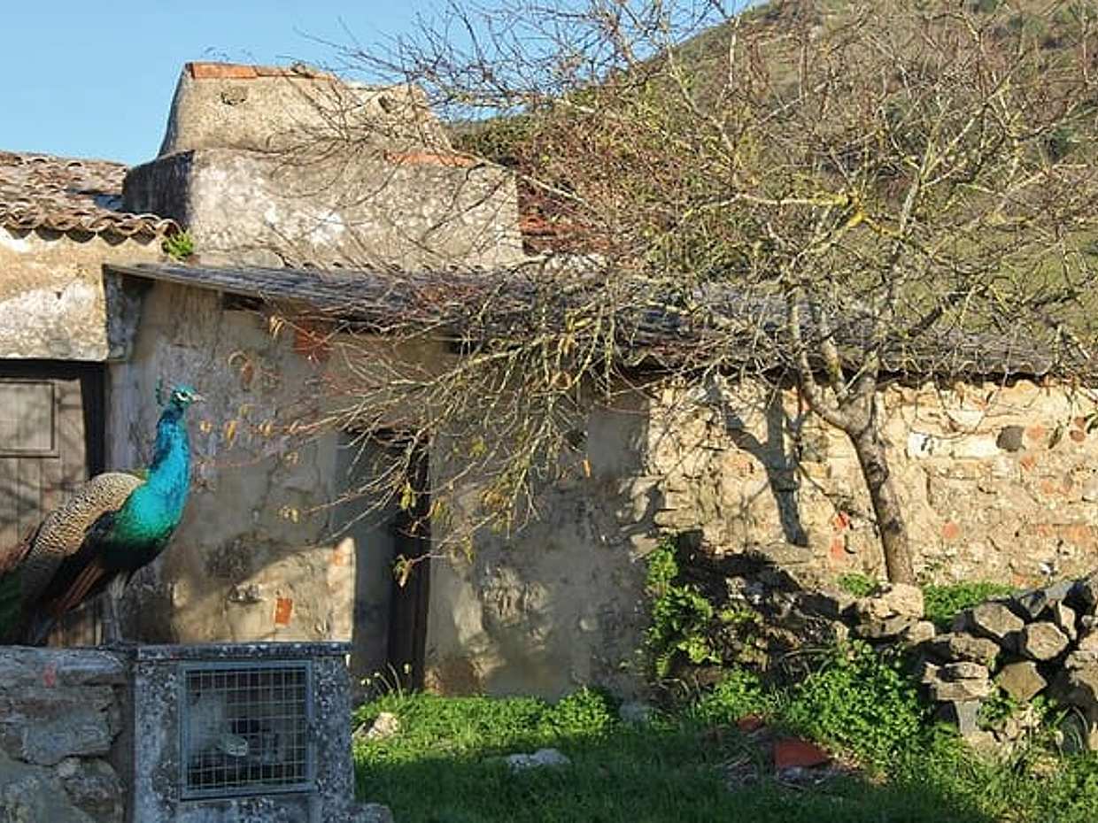 "جولة تذوق النبيذ الخاص في منطقة لشبونة الجنوبية (فيرناو بو) في البرتغال", photo 4