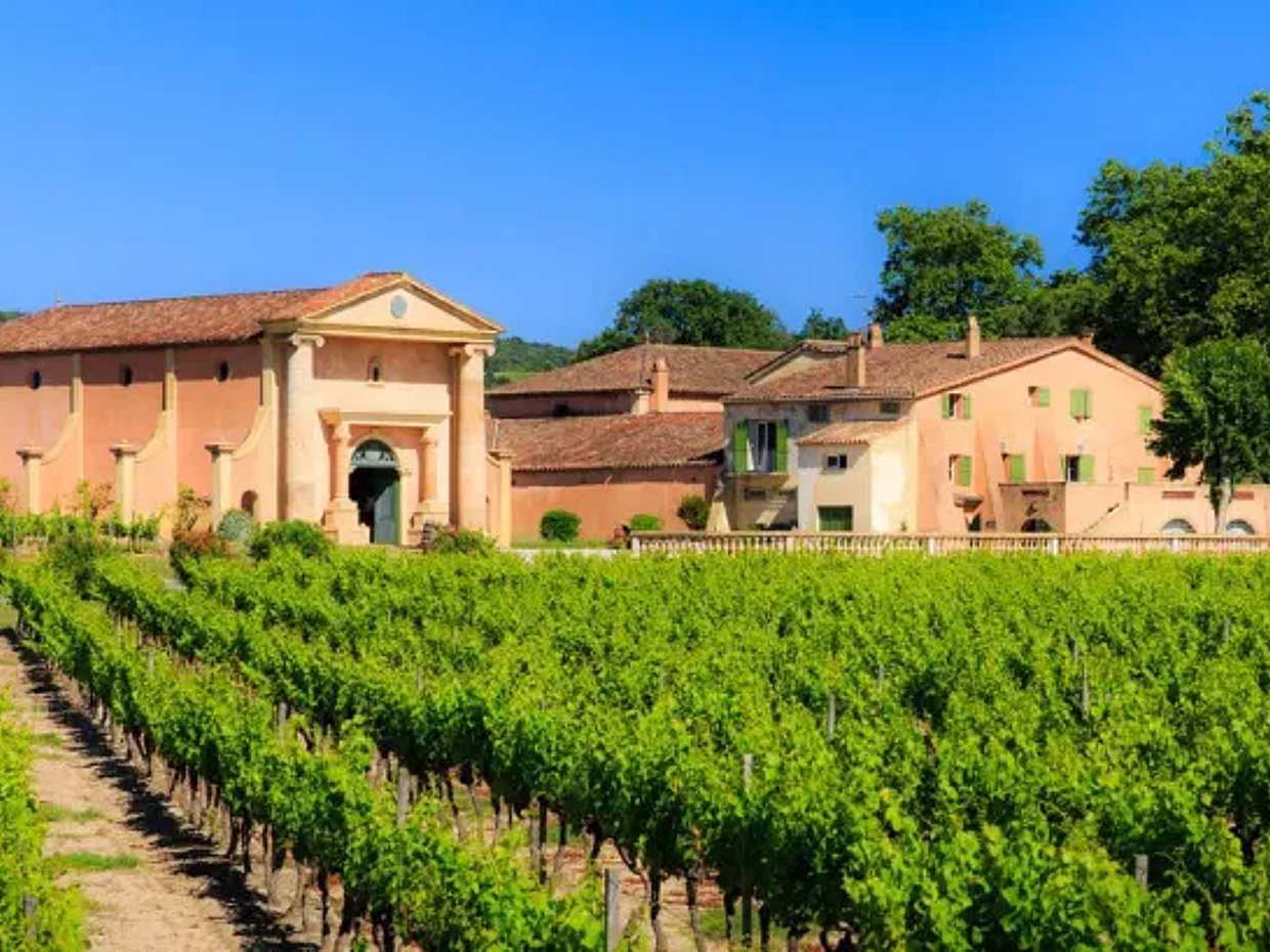 The vineyards of the Coteaux d'Aix-en-Provence and the Sainte-Victoire Mountain, photo 4