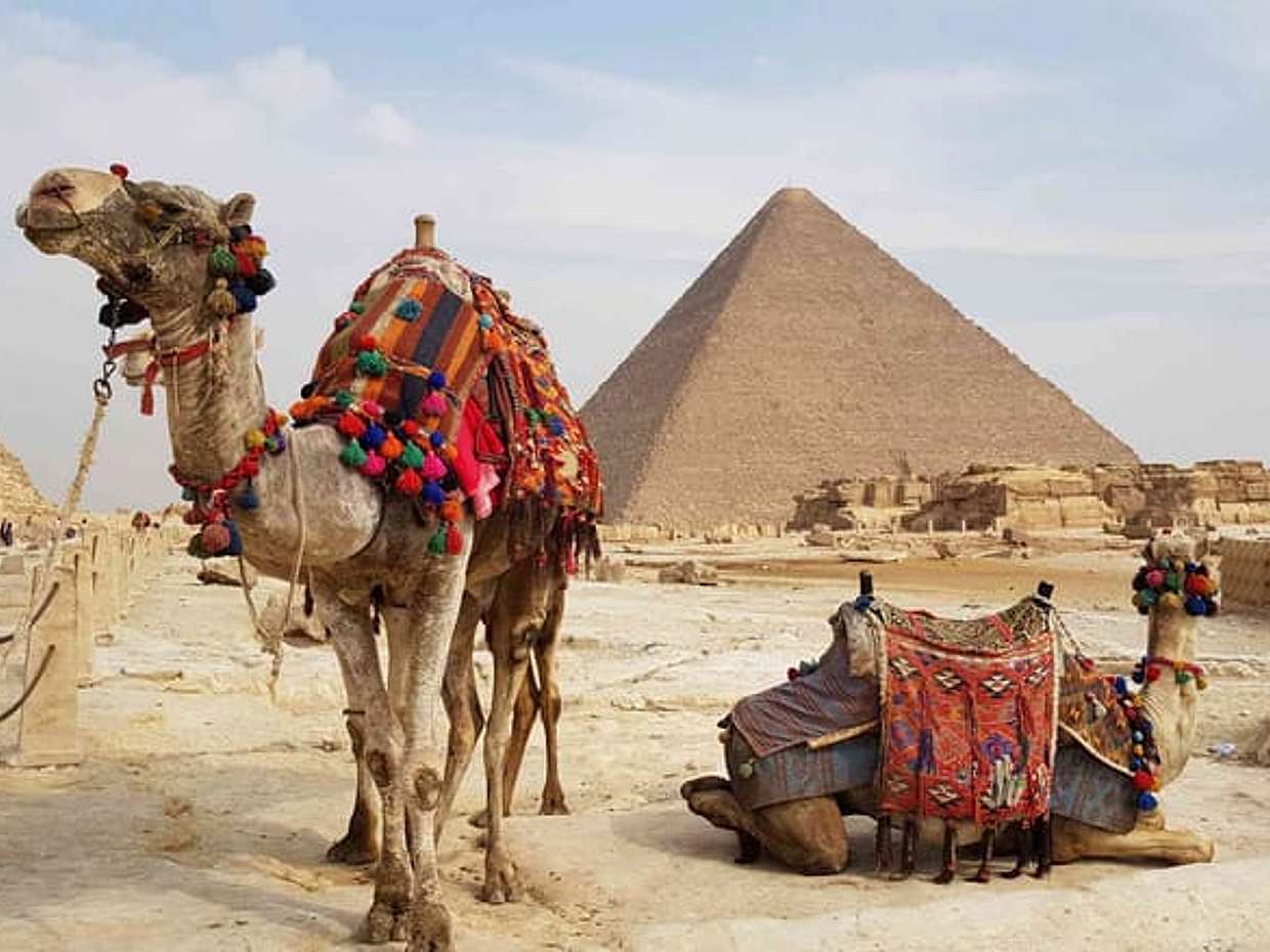Discover Ancient Wonders Half Day Tour Giza Pyramids and Sphinx, photo 4