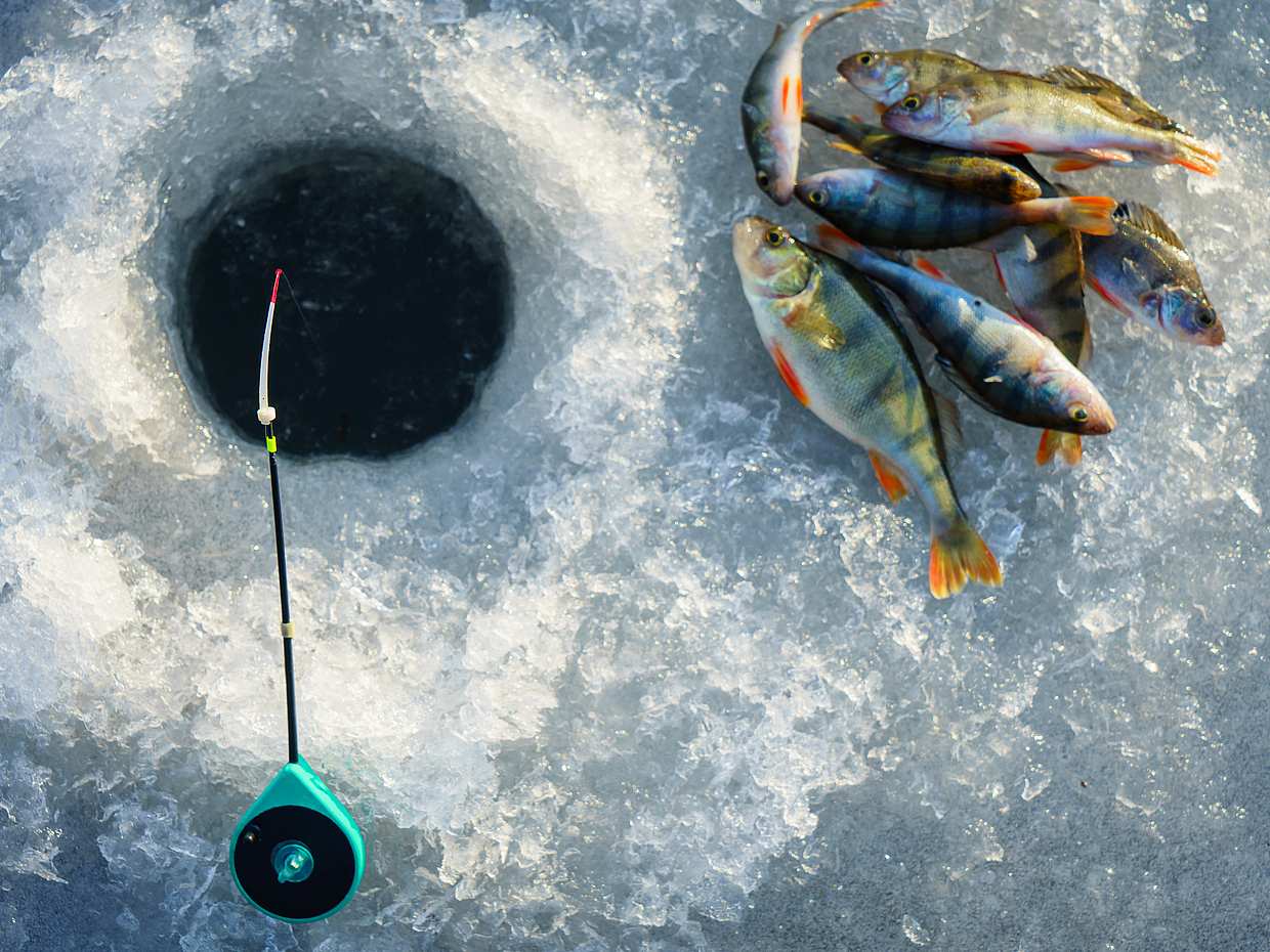 Ice Fishing Experience from Pyha and Luosto, Finland, photo 3