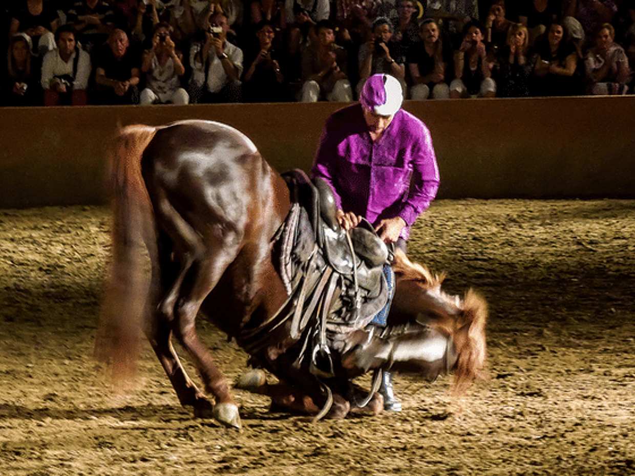 Chez Ali Dinner & Horsemen Show From Marrakech, photo 5