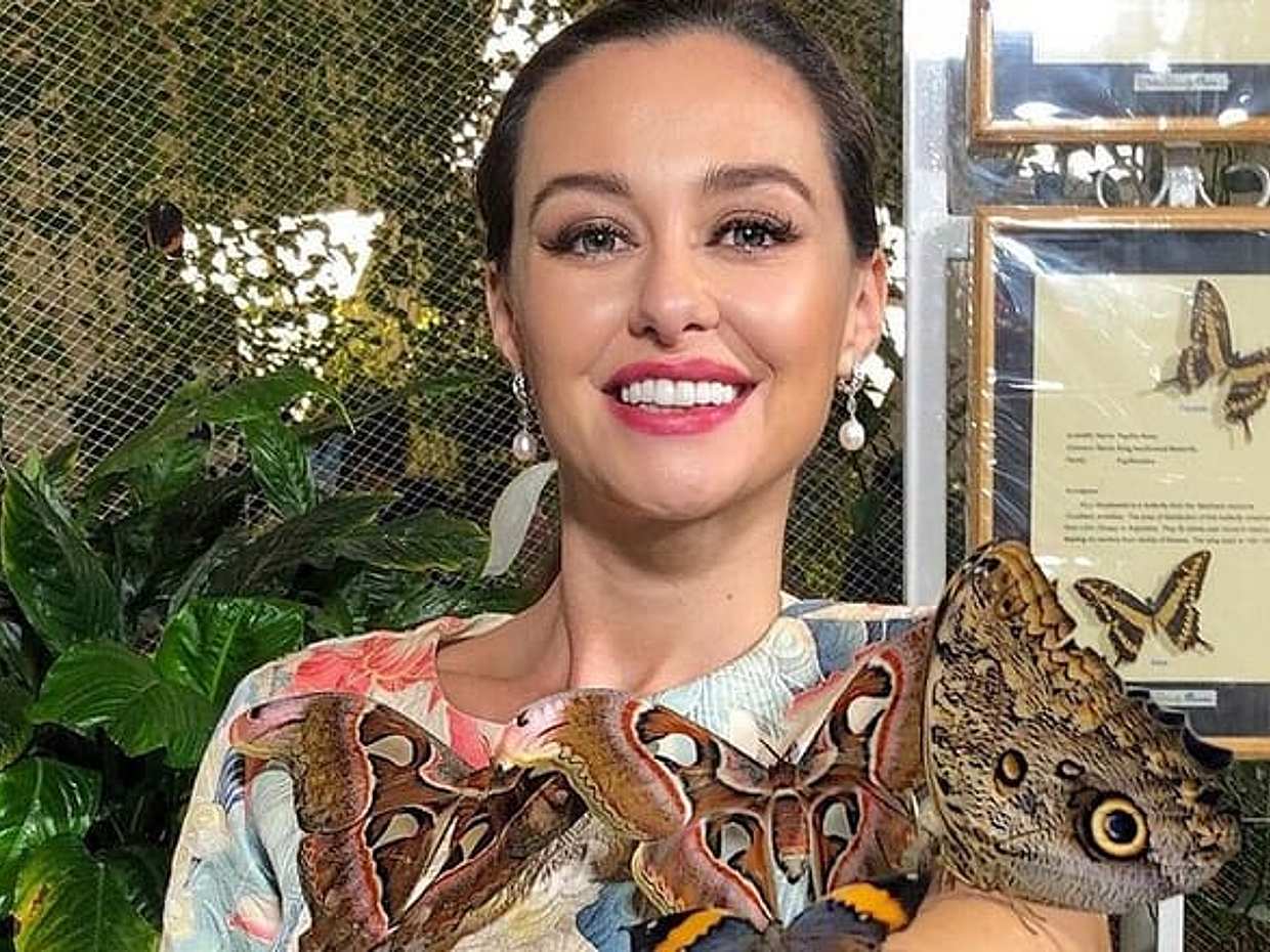 Εισιτήριο Εισόδου στο Dubai Butterfly Garden, Ηνωμένα Αραβικά Εμιράτα, photo 4
