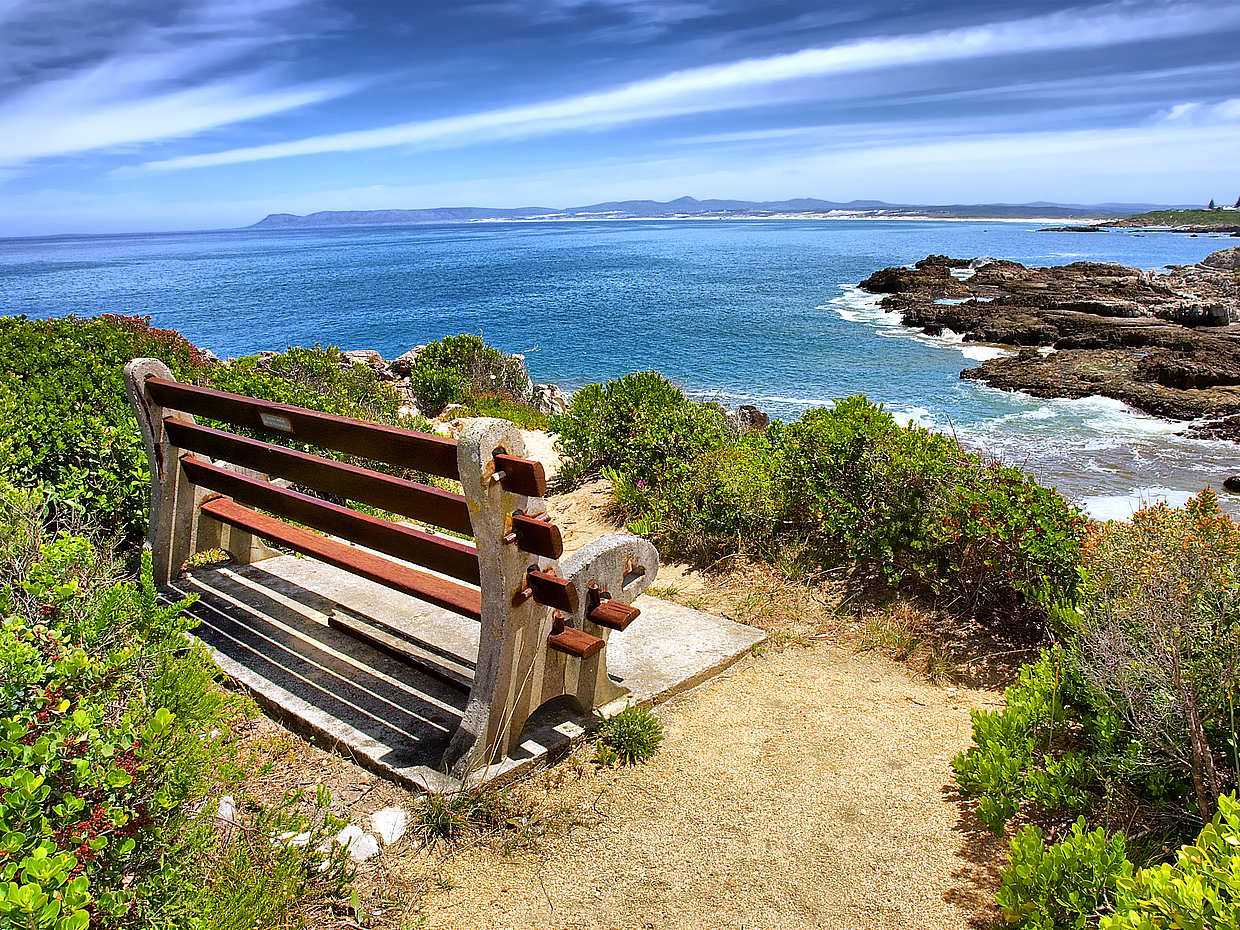 Private Shore Whale Watching Tour to Hermanus from Cape Town in South Africa, photo 2