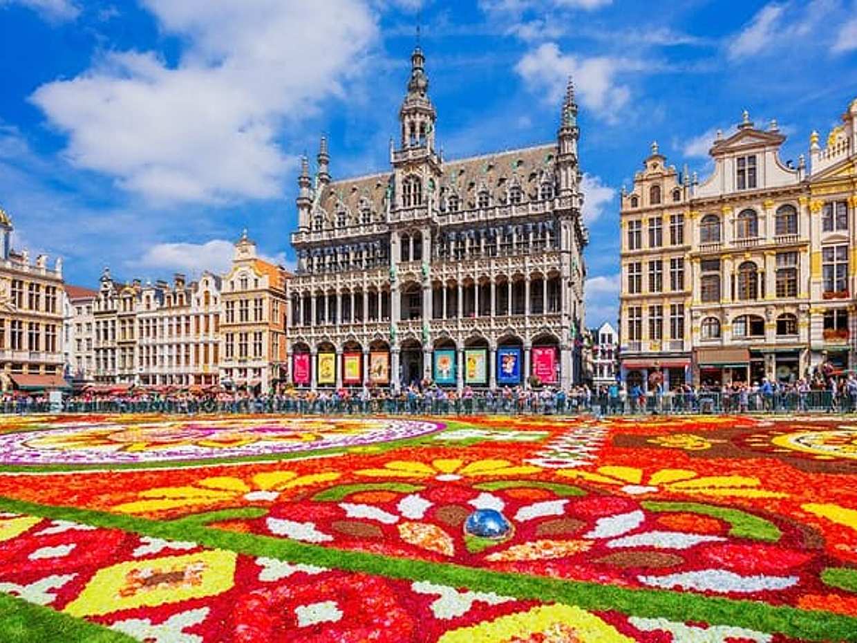 "Privé directe transfer van Rotterdam naar Brussel in Nederland"