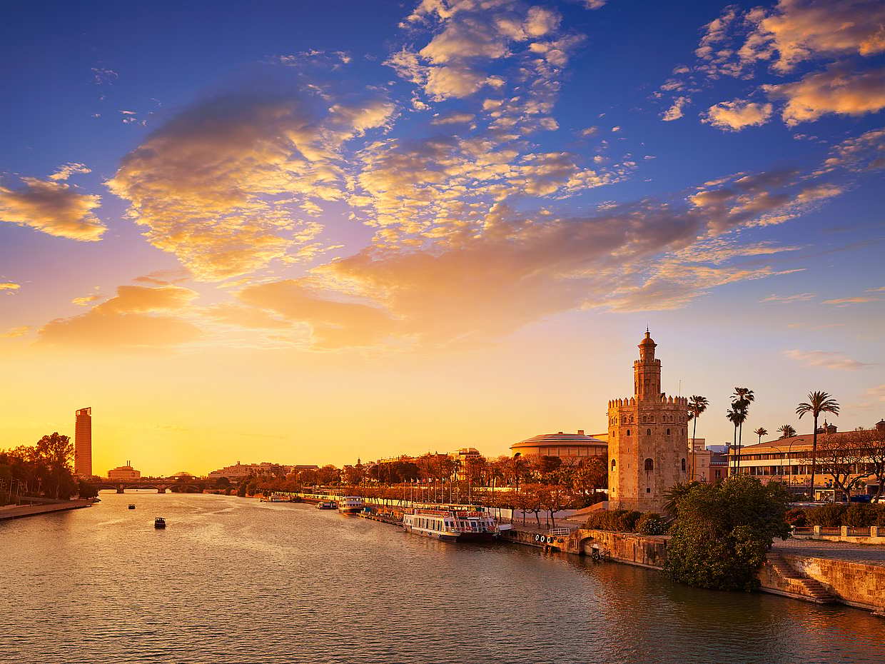 Walking Tour and Gourmet Dinner in Seville, photo 2