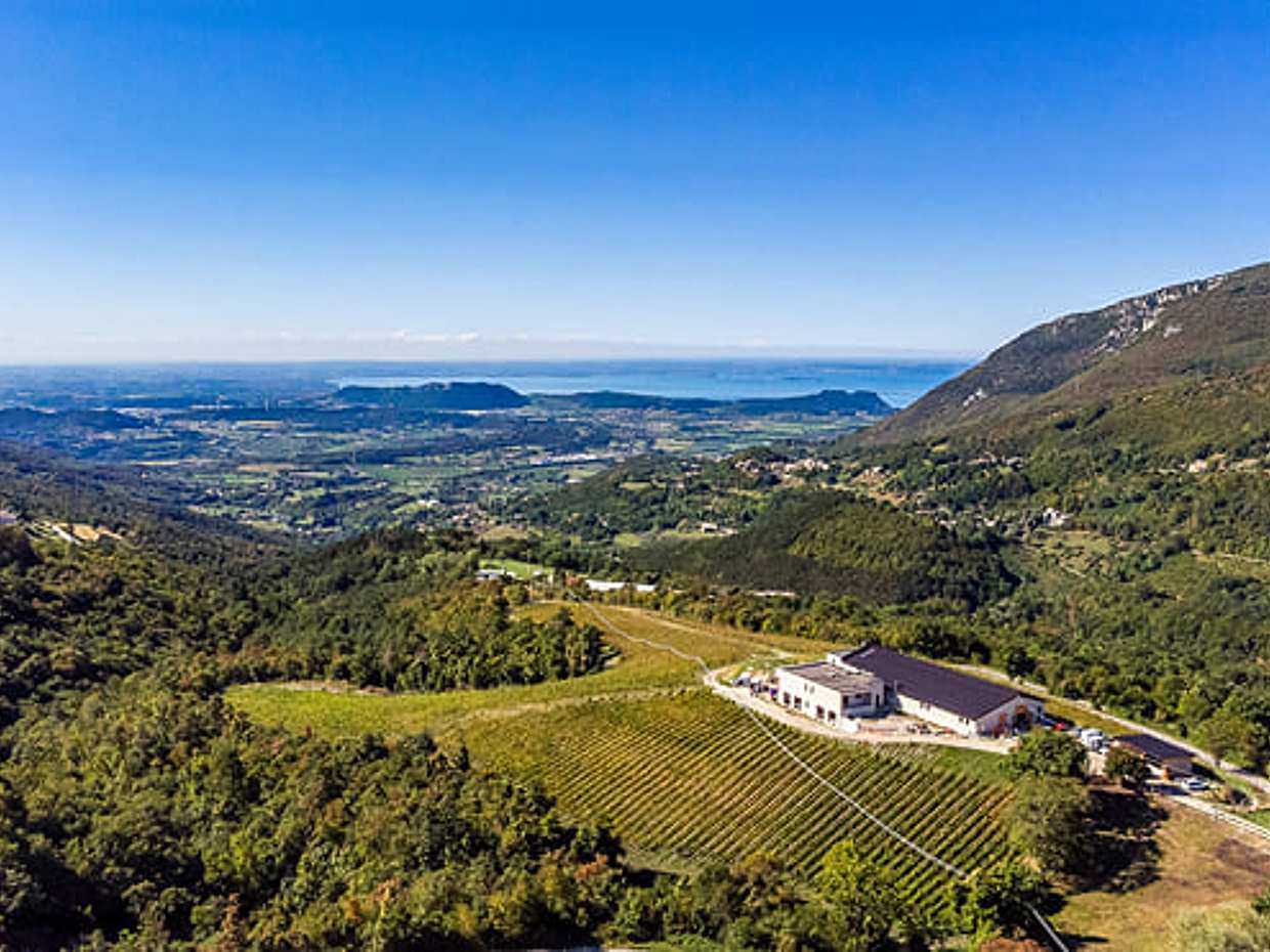 Tasting of Organic Mountains Wines with Vineyard and Cellar Tour, photo 5