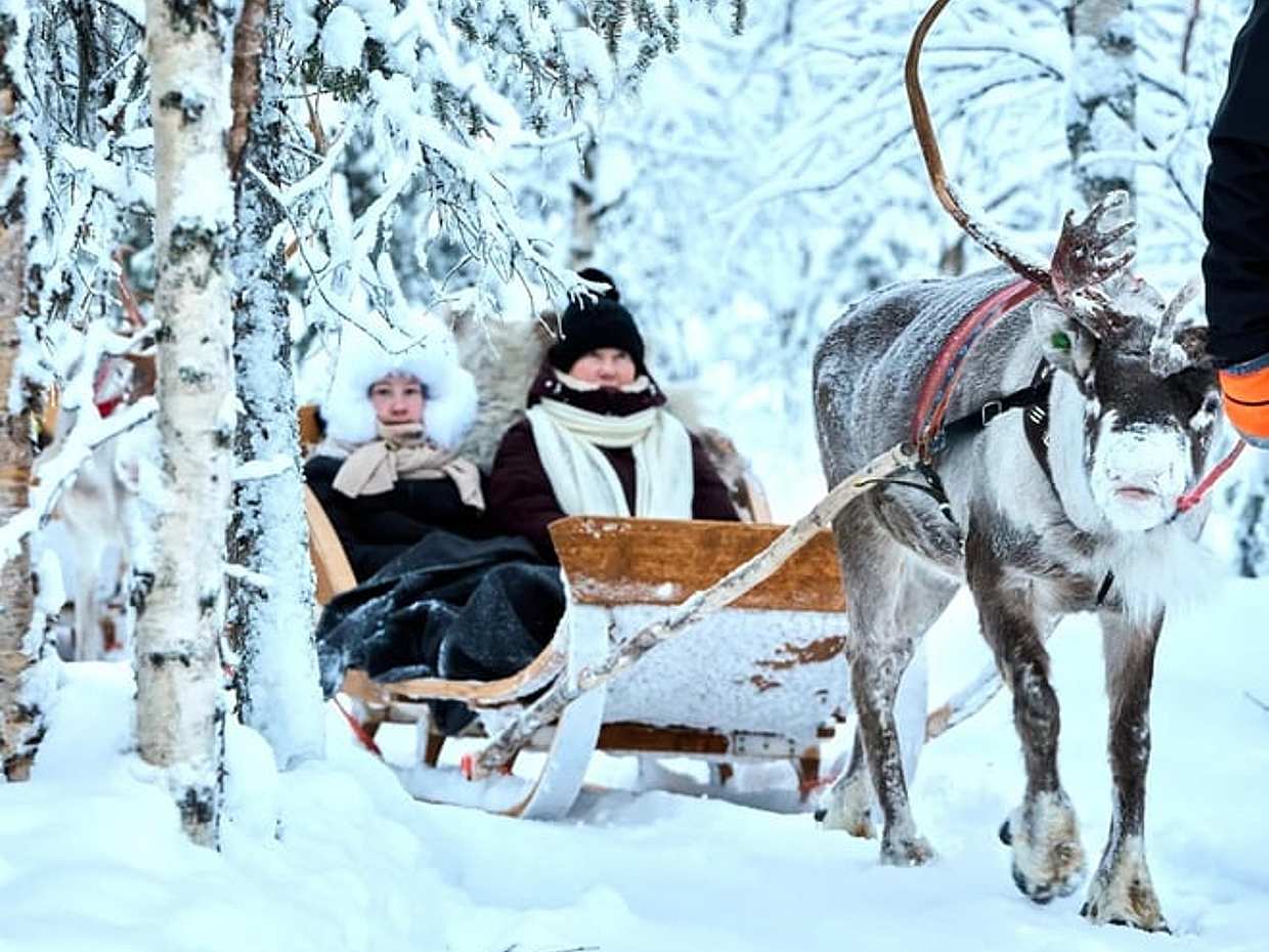 Reindeer farm and reindeer safari express 0,6 km, Levi